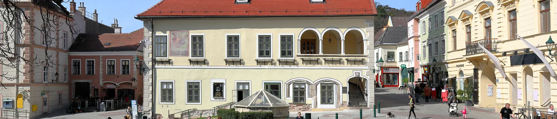 Moedling_1920x412_©C. Stadler:wikimedia.org:Bwag Mödling<br />