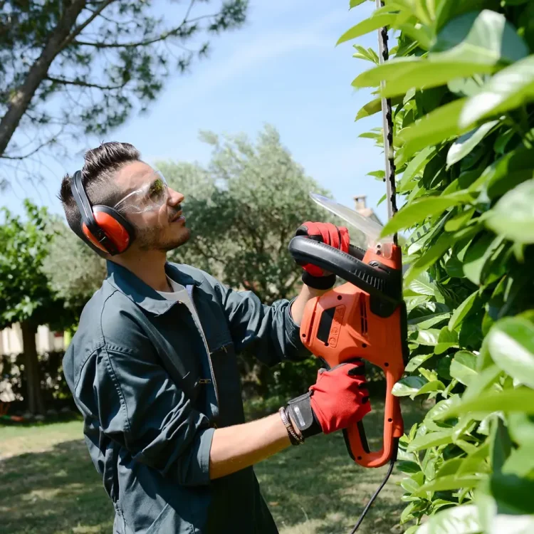 Mann mit Motorheckenschere und Schutzbrille an einer hohen Hecke - Gärtner:in